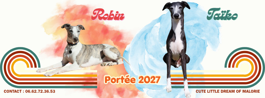 ✴ Portée 2027 : le casting est annoncé !
